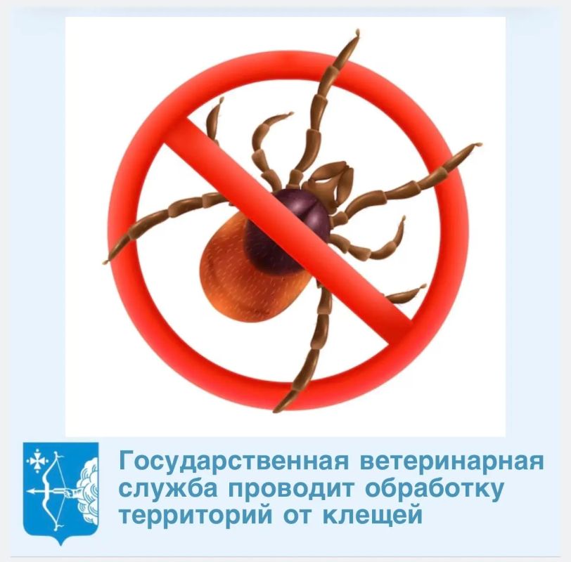 По данным Роспотребнадзора, активность клещей на территории Кировской области в этом сезоне сохраняется на высоком уровне