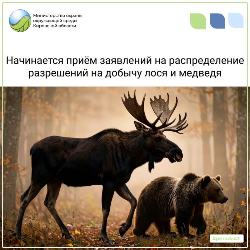 С 1 июня начинается прием заявлений на участие в распределении разрешений на добычу лося и медведя в общедоступных охотничьих угодьях нашей области