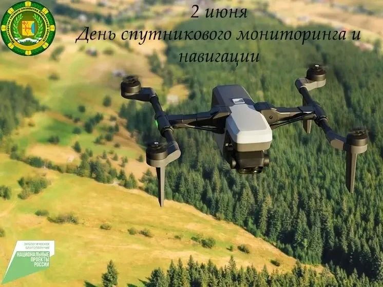День спутникового мониторинга и навигации отмечается 2 июня и имеет большое значение для лесного хозяйства