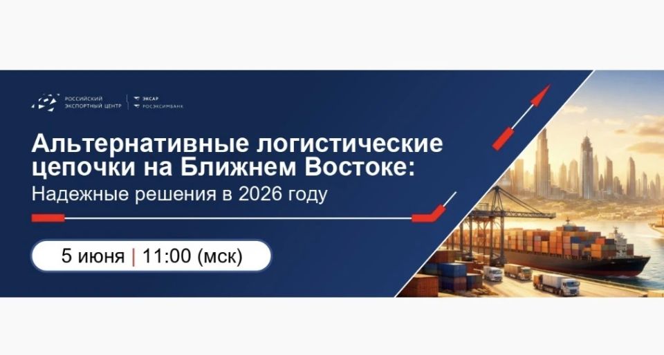 Логистика ОАЭ – РФ: живые маршруты и реальные кейсы 2026