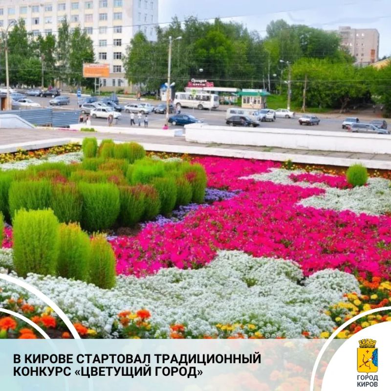 С 1 июня по 11 сентября в Кирове проводится традиционный конкурс по озеленению и благоустройству «Цветущий город»