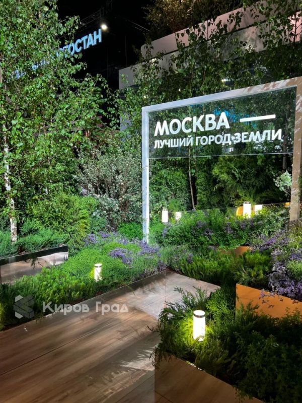 Международный экономический форум начался в Санкт-Петербурге Международный экономический форум начался в Санкт-Петербурге