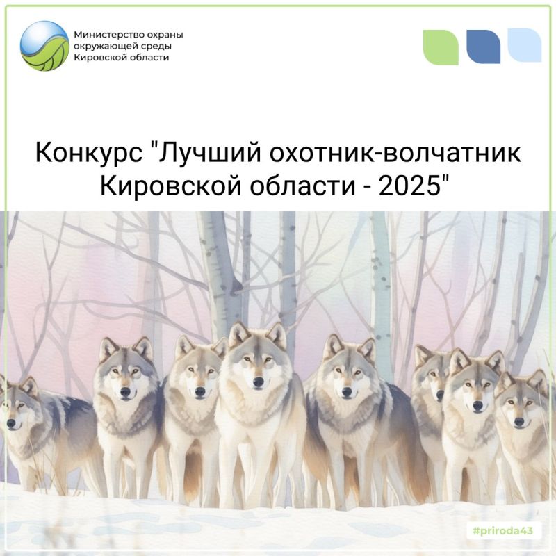 Министерством объявлен конкурс «Лучший охотник-волчатник Кировской области 2025 года»
