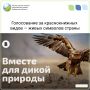 � ������ ���������� ����������� �� ������ ��� - 100 ������������� ����� - �������� ������