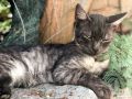 В России в 2025 году потерялись около 180 тыс