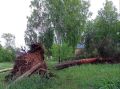 Каринторф оказался в эпицентре сильной грозы