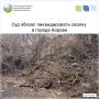 Суд обязал убрать свалку отходов ТКО на ул. Северное Кольцо в г. Кирове!