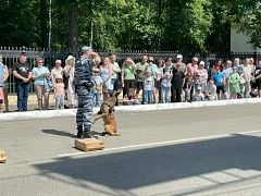 В Кирове прошла акция «Один день с полицией России» В Кирове прошла акция «Один день с полицией России»