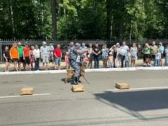 В Кирове прошла акция «Один день с полицией России» В Кирове прошла акция «Один день с полицией России»