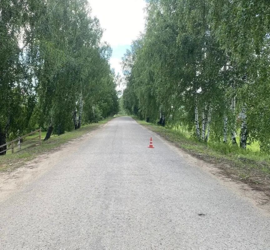 Два ребёнка получили травмы после опрокидывания электросамоката в Красной Поляне