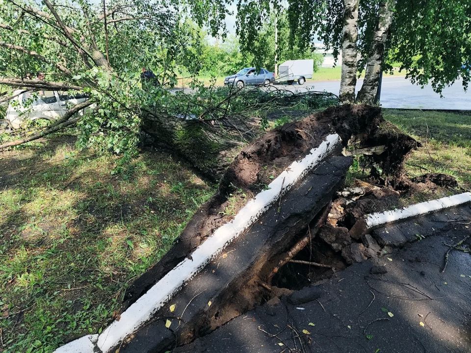 В Кирово-Чепецке устраняют последствия грозы В Кирово-Чепецке устраняют последствия грозы