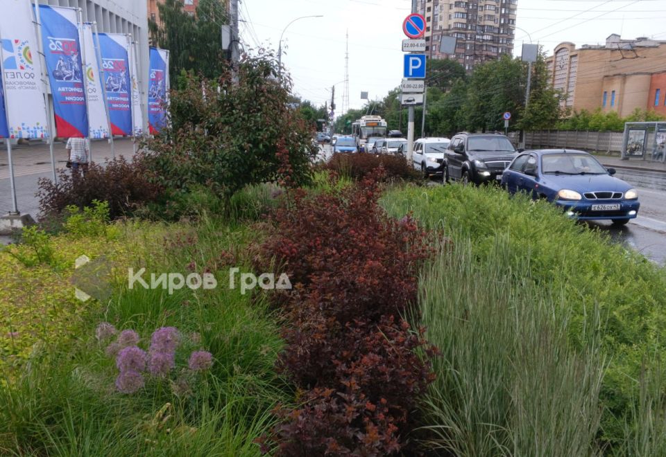 Необычно, экспериментально, притягивает взгляды Необычно, экспериментально, притягивает взгляды