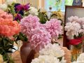 Выставку живых пионов в библиотеке имени Герцена продлили до 23 июня изза большого потока посетителей