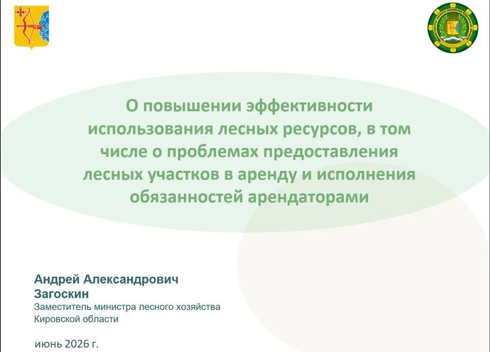 Кировская область входит в число субъектов России с наибольшими запасами древесины