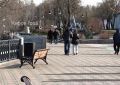 Мусора на Набережной Грина стало меньше
