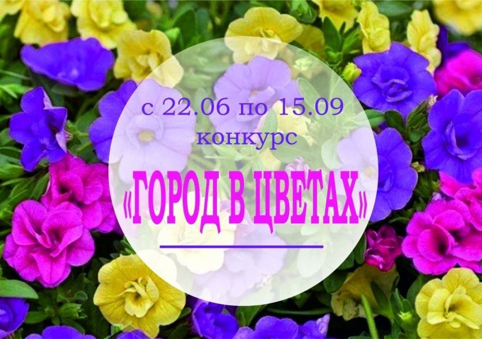 С 22 июня в центрах местной активности №№ 6, 7, 8 Октябрьского района стартует конкурс по озеленению придомовых территорий «Город в цветах»