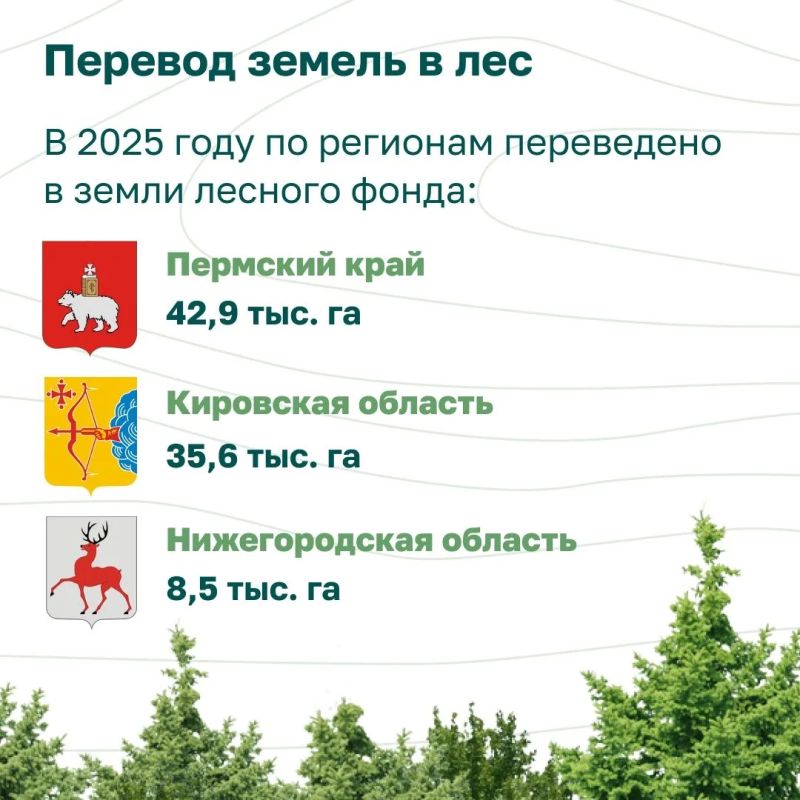 В рубрике Рослесхоза, посвященной лесовосстановлению в России и в каждом из ее федеральных округов, сегодня о восстановлении лесов в Приволжье В рубрике Рослесхоза, посвященной лесовосстановлению в России и в каждом из ее федеральных округов, сегодня о восстановлении лесов в Приволжье