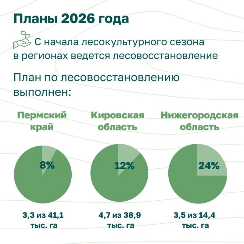 В рубрике Рослесхоза, посвященной лесовосстановлению в России и в каждом из ее федеральных округов, сегодня о восстановлении лесов в Приволжье В рубрике Рослесхоза, посвященной лесовосстановлению в России и в каждом из ее федеральных округов, сегодня о восстановлении лесов в Приволжье
