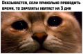 #шуткадня