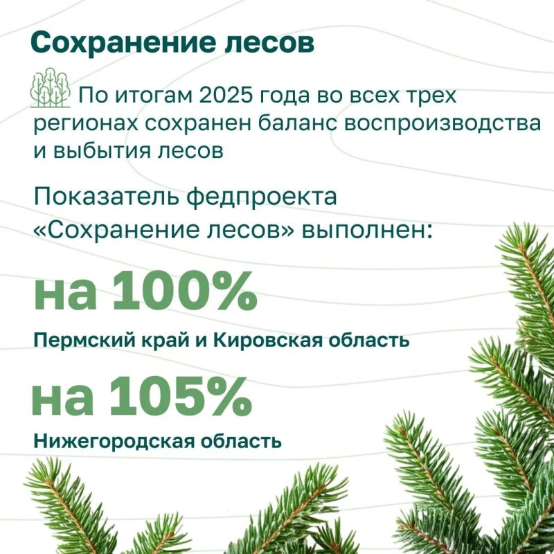 В рубрике Рослесхоза, посвященной лесовосстановлению в России и в каждом из ее федеральных округов, сегодня о восстановлении лесов в Приволжье В рубрике Рослесхоза, посвященной лесовосстановлению в России и в каждом из ее федеральных округов, сегодня о восстановлении лесов в Приволжье