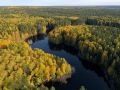 «Купол» зелёного храма образуют кроны деревьев