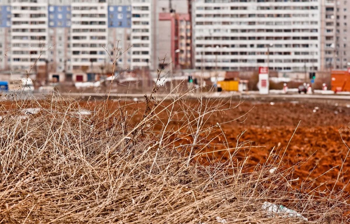 Кварталы новой застройки.. На профильной комиссии Кировской гордумы обсудили, как в городе осваивают территории по договорам комплексного развития (КРТ). Застройщики уже передают городу детские сады, проектно-сметную...
