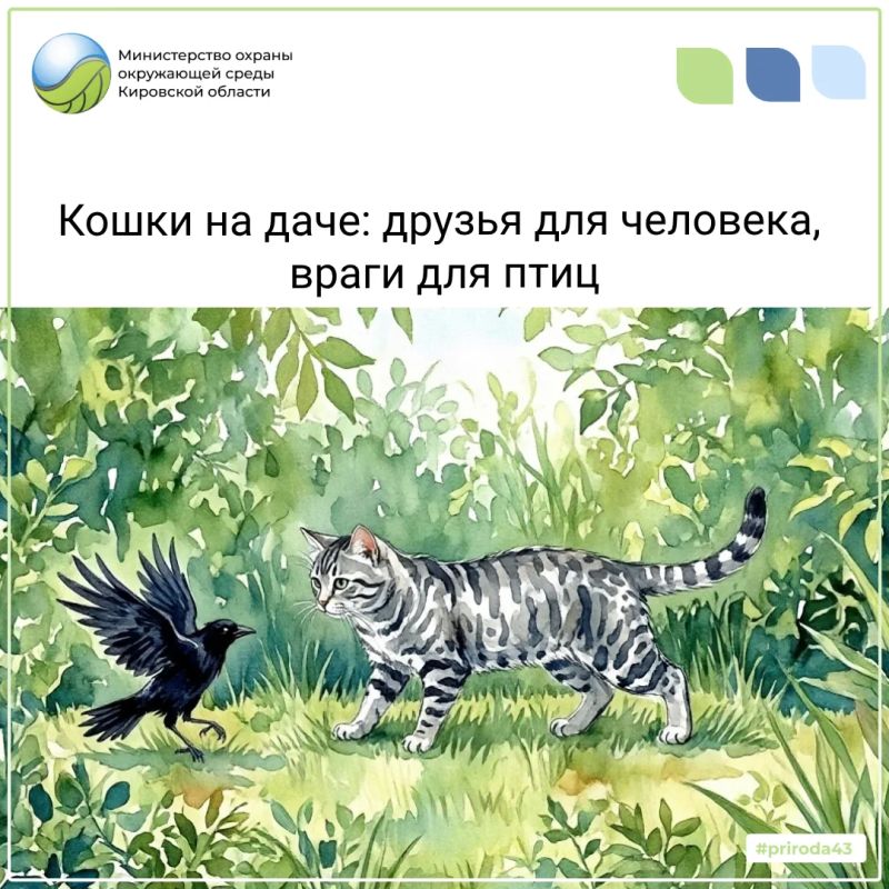 Сейчас у птиц сезон выращивания молодняка