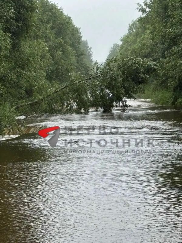 В Кировской области за несколько дней выпала месячная норма осадков