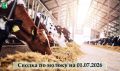 Итоги производства молока по Кировской области на 1 июля 2026 года