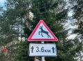 В мае в Кировской области произошло 22 ДТП с участием лосей и 2 с зайцами