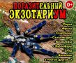 � ������� ������� �������� ���������� �������� �����������