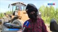 � ������������� ������ ������������ �������� �� ������ ����� �������� � ����