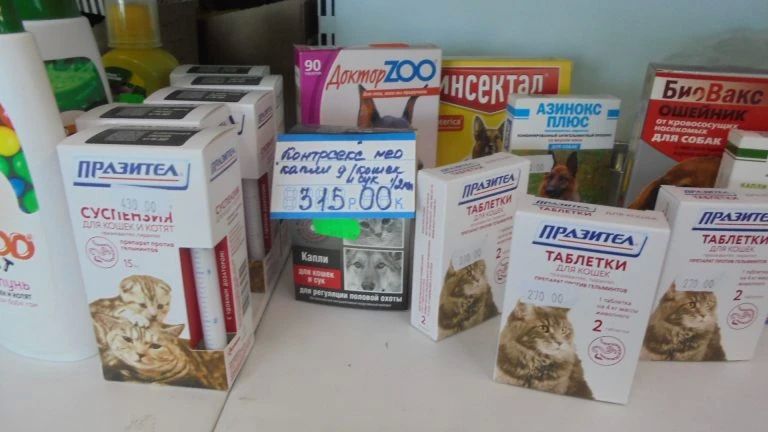 В Бахте продавали лекарства для животных без лицензии