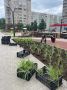 В новом сквере на ул. Юровской высадили цветы и деревья