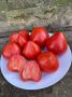 Томат Гномьи шляпки: необычная форма и захватывающий вкус для любителей огородов