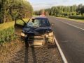 В Котельничском районе молодой человек на «Шевроле» сбил лося