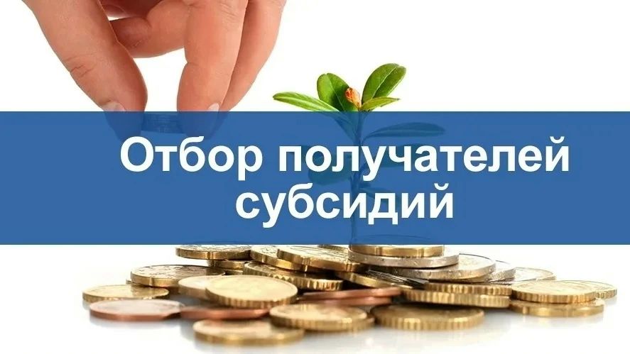 Объявлен отбор крестьянских (фермерских) хозяйств на предоставление субсидии из областного бюджета