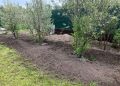 Когда стоит отложить прополку: важные советы для огородников после дождя