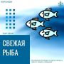 Горбуша по доступной цене: свежие поступления уже здесь!