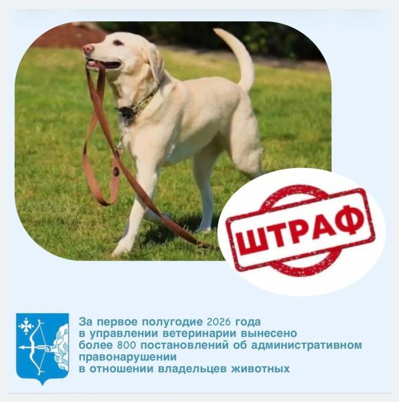 За первые 6 месяцев 2026 года управлением ветеринарии Кировской области вынесено 806 постановлений о привлечении граждан к административной ответственности