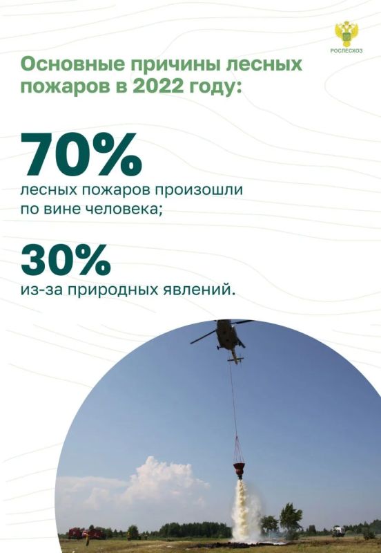 Почему важно соблюдать пожарную безопасность в лесу Почему важно соблюдать пожарную безопасность в лесу