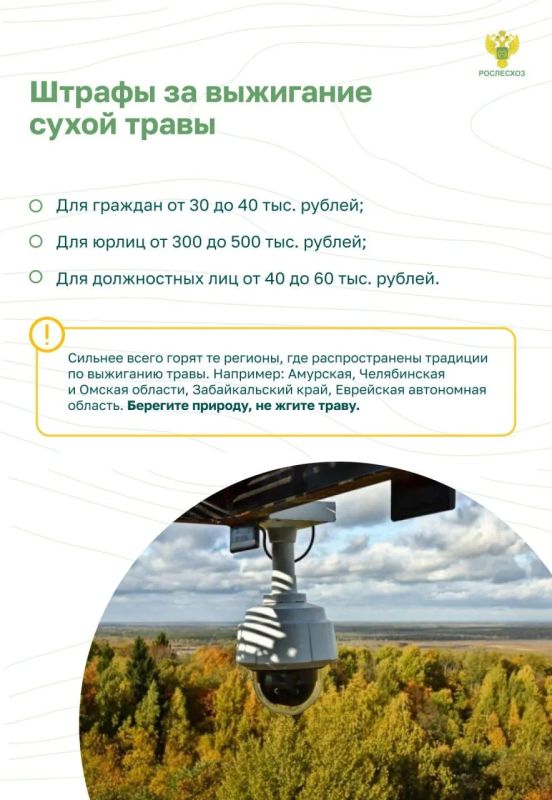 Почему важно соблюдать пожарную безопасность в лесу Почему важно соблюдать пожарную безопасность в лесу