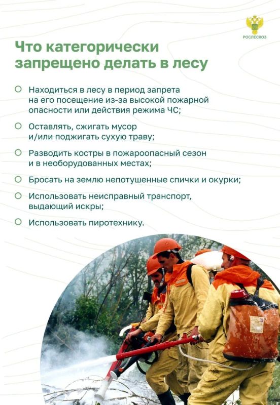 Почему важно соблюдать пожарную безопасность в лесу Почему важно соблюдать пожарную безопасность в лесу