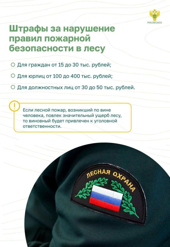 Почему важно соблюдать пожарную безопасность в лесу Почему важно соблюдать пожарную безопасность в лесу
