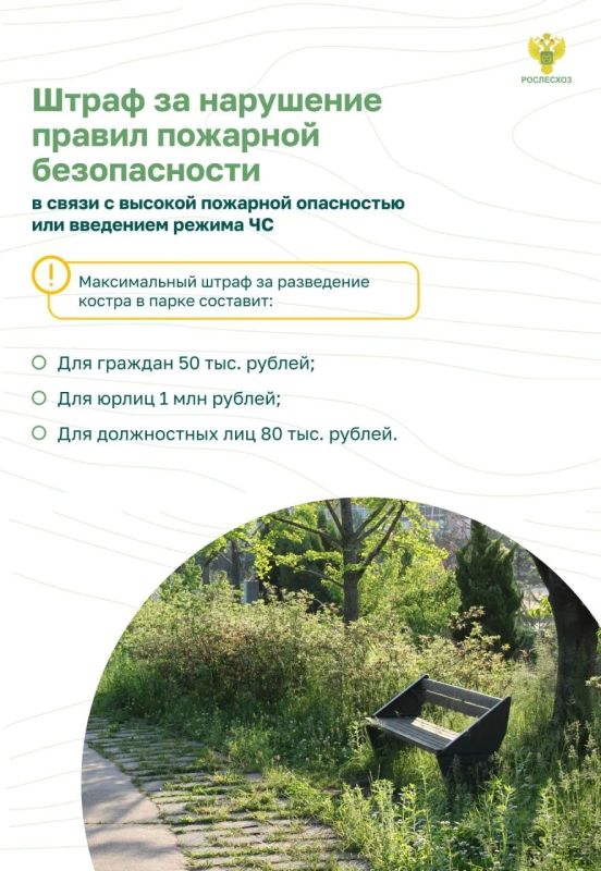 Почему важно соблюдать пожарную безопасность в лесу Почему важно соблюдать пожарную безопасность в лесу