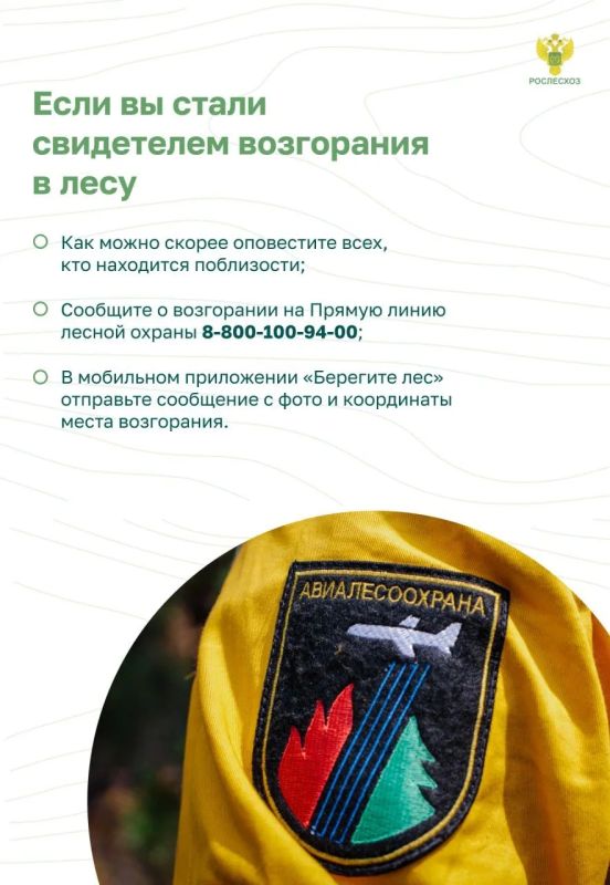 Почему важно соблюдать пожарную безопасность в лесу Почему важно соблюдать пожарную безопасность в лесу