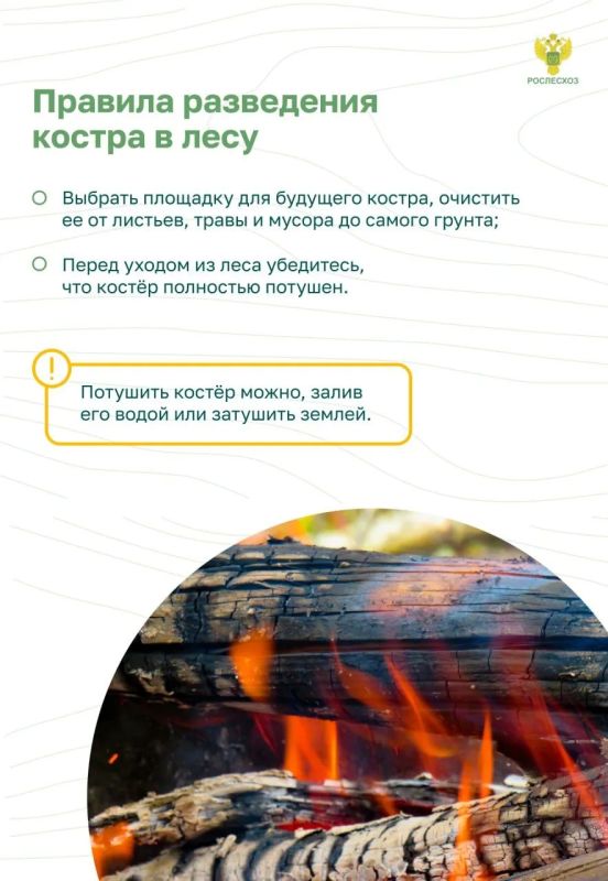 Почему важно соблюдать пожарную безопасность в лесу Почему важно соблюдать пожарную безопасность в лесу