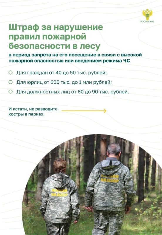 Почему важно соблюдать пожарную безопасность в лесу Почему важно соблюдать пожарную безопасность в лесу