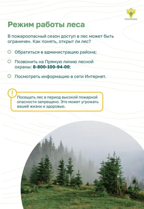 Почему важно соблюдать пожарную безопасность в лесу Почему важно соблюдать пожарную безопасность в лесу