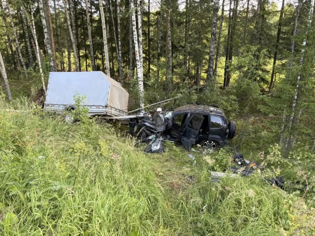 В Кикнурском районе «Шевроле Нива» врезалась в дерево, двое пострадали